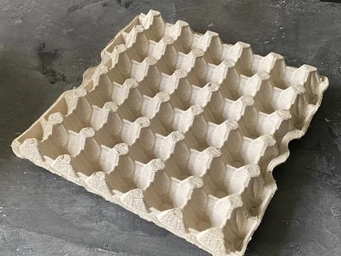 A light box of chicken eggs, empty. Stock Photos