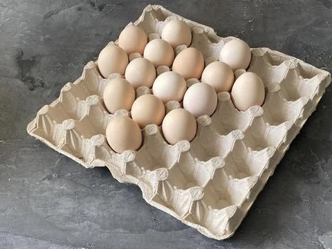 A light box of a square shape with eggs Stock Photos
