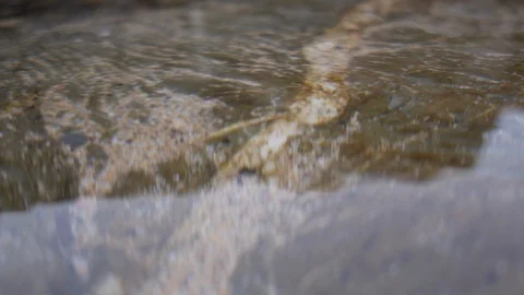 Light breeze making the water shimmer on a rock pool Stock Footage 86129484