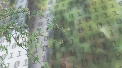 Light breeze nudging branch swaying, binary grid moving and intensifying, Stock Footage 333873085