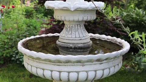 Light breeze on the surface of clean water in the bird bath in the garden Stock Footage 155330512