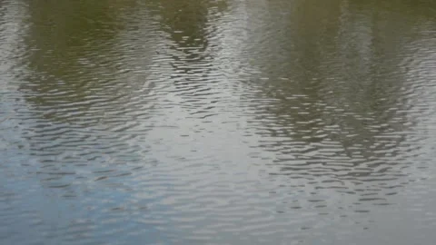 Light breeze on the water surface Vídeo Stock 141374425