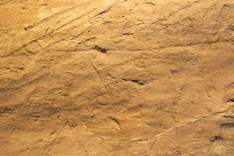 Light brown abstract pattern. The texture of the stone. Stock Photos