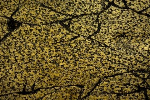 Light brown abstract texture with dark scratches, cracks and spots Stock Photos