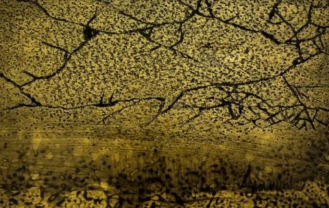 Light brown abstract texture with dark scratches, cracks and spots Stock Photos