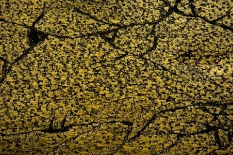 Light brown abstract texture with dark scratches, cracks and spots Stock Photos