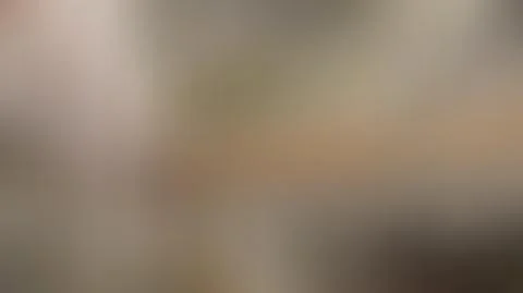 Light brown blurred background vector Stock Illustration