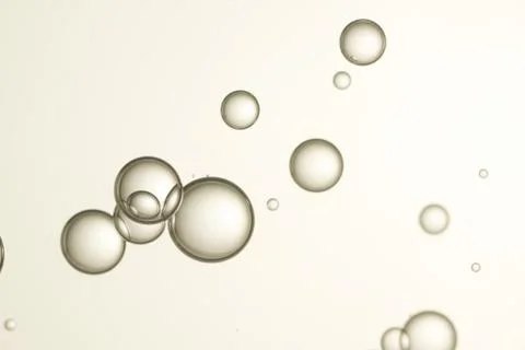 Light brown bubbles soars over blurred background Stock Photos