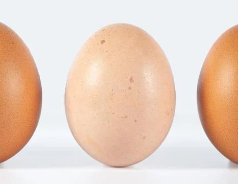 Light Brown Chicken Egg Between Brown Eggs Close Up Stock Photos