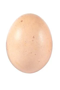 Light Brown Chicken Egg Isolated on White Background Fotos de archivo