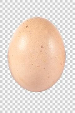 Light Brown Chicken Egg Isolated on Transparent Background Stock Photos