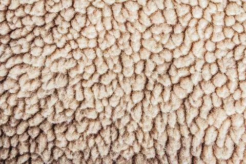 Light brown colored lining fur texture backdrop photo. Stock Photos