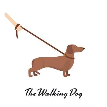 Light Brown Dachshund with a leash Stock Illustration