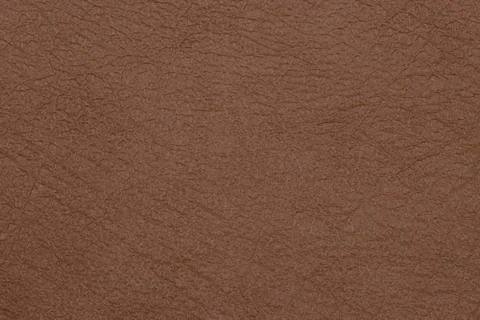 Light brown leather texture surface. Close-up of natural grain cow leather Li Stock Photos