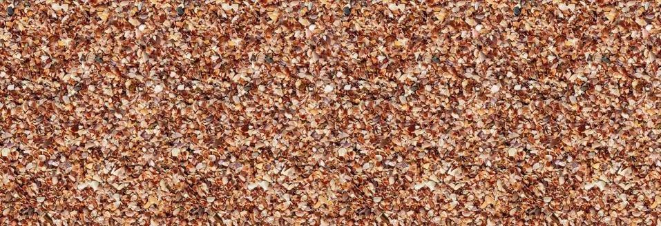 Light brown shattered shells background beach tropical base design 스톡 사진