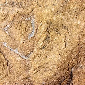 Light brown stone background texture of the flagstone Foto stock