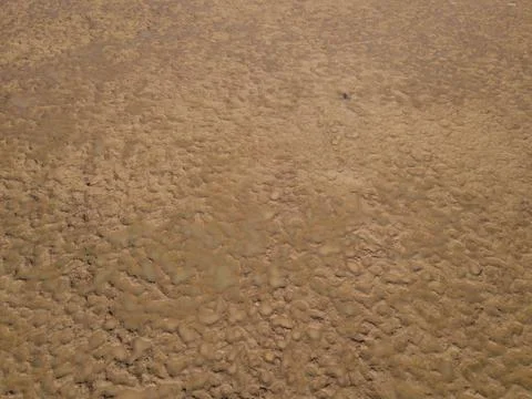 Light brown texture mud Stock Photos