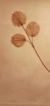 Light brown wall-mounted paper flower decoration Photos