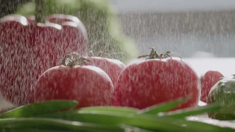 At light brunch of red tomatoes, cucumbers, green onion on table, water drops Stock Footage 151961548