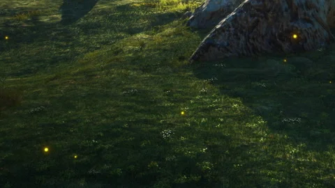 Light bugs glow on green grass near a rock during the evening hours Stock Footage 339866259