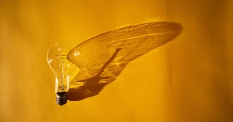 Light bulb and its shadow Stock Photos