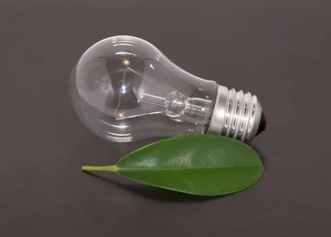 Light bulb and leaf Stock Photos