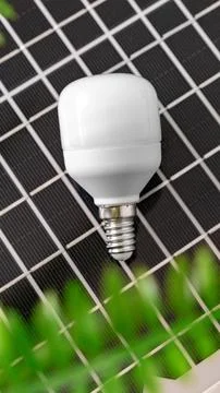 Light bulb on black grid background with green leaves in the scene during Stock Photos