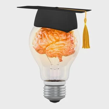 Light bulb with brain and graduation cap. Learning and innovation concept, .. Stock Illustration