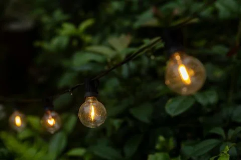The light bulb cast warm glows in the misty mountain forest. 스톡 사진