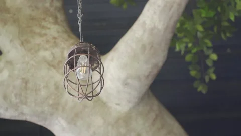 A light bulb from a chain Stock Footage 236665013