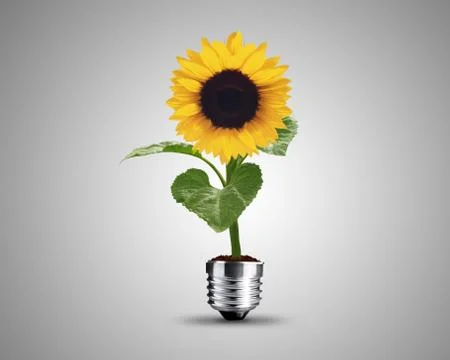 Light bulb concept Stock Photos