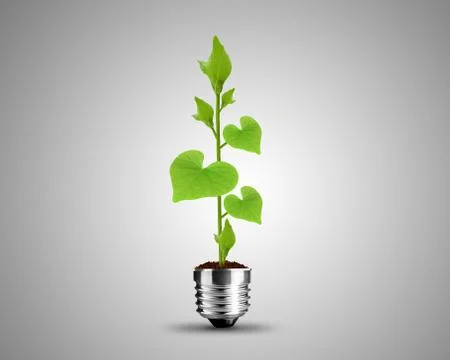 Light bulb concept Stock Photos