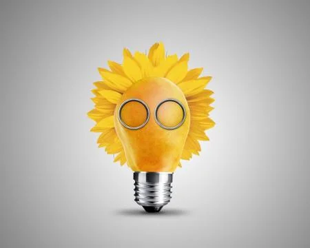 Light bulb concept Stock Photos