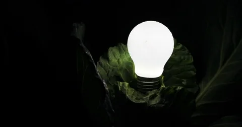 A light bulb in the dark, the lamp lights up in a green leaves. black background Stock Footage 77212071