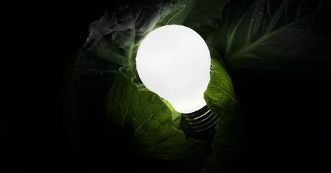 A light bulb in the dark, the lamp lights up in a green leaves. black background Stock Footage 77215184