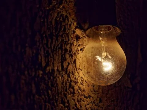 Light bulb on a dark rough stone background. Gloomy dark background. Stock Photos