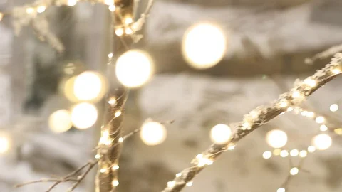 Light bulb decor in outdoor party Stock Footage 101096424