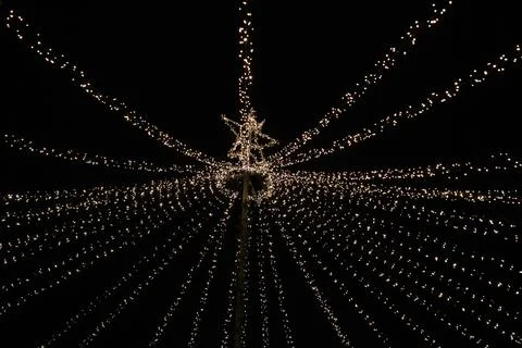 Light bulb decor, the string of lights on a dark background Stock Photos