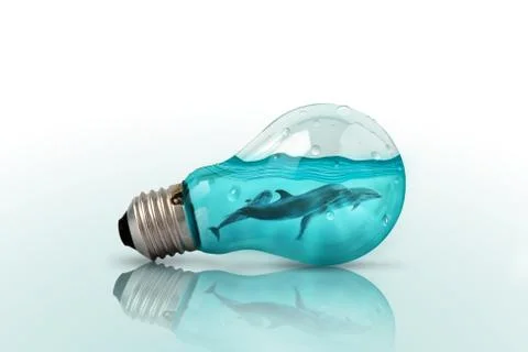Light bulb with Dolphins swimming inside on blue background .  Flat lay. Patt Stock Photos