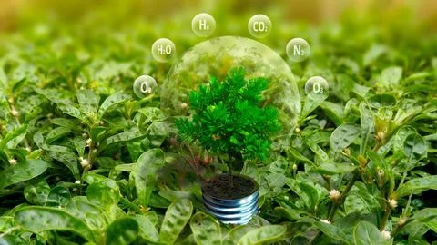 Light bulb earth day concept Stock Illustration