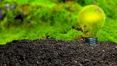 Light bulb earth day concept Stock Illustration