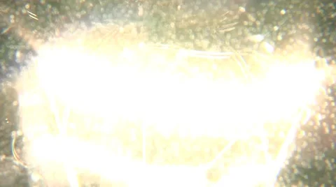 Light Bulb. Edison Lamp Video stock 8967821