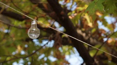 Light bulb on fall season background 動画素材 81332729