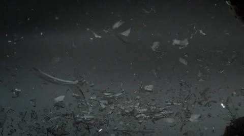 Light bulb falling and crashig on floor, Slow Motion Stock Footage 25391025
