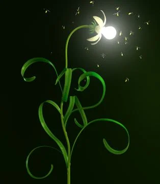 Light bulb flower Stock Illustration