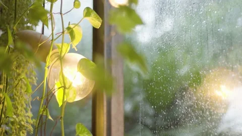 Light bulb Video stock 145865773