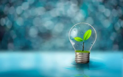 Light bulb with fresh green leaf inside on blurred light blue background. Eco Stock-Fotos