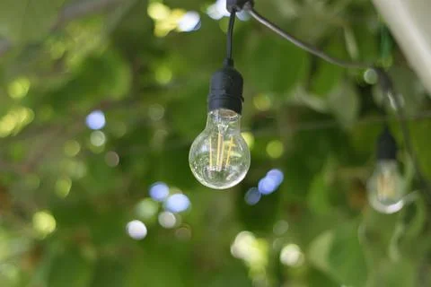 Light bulb on green background Foto stock