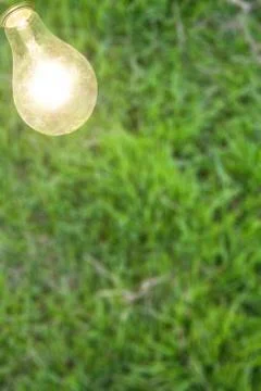 Light bulb with green grass background. Stock Photos