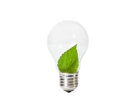 Light bulb with green leaf inside Stock Photos